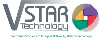 201803 – Logo VSTAR + Baseline 400px